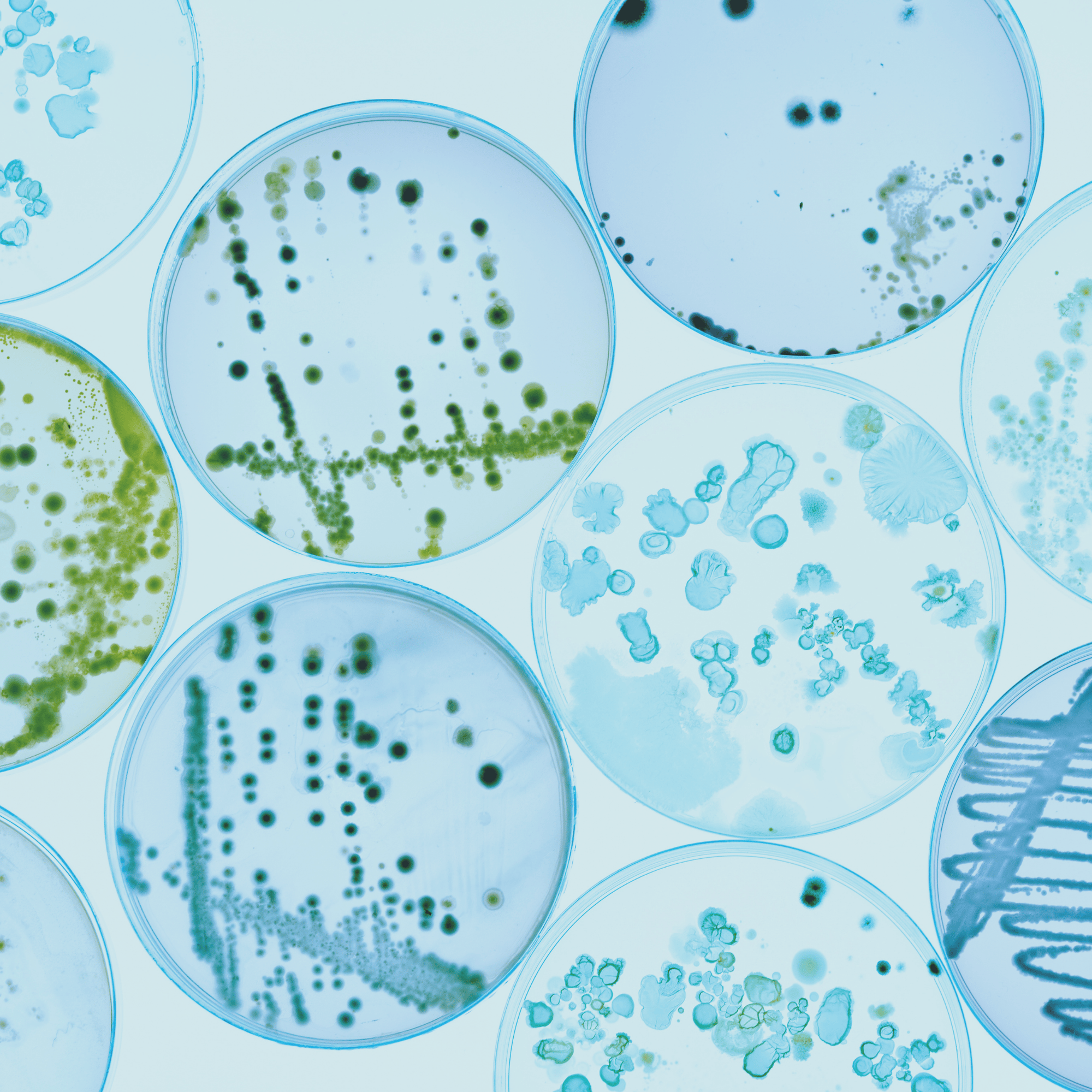 Microbiology