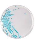 HardyCHROM™ ECC (E. coli and Coliforms) Plates