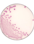 HardyCHROM™ O157 (E. coli O157) Plate
