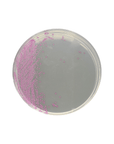 HardyCHROM™ Listeria Chromogenic Medium Plate