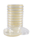 Standard Methods Agar (SMA), Plate Count Agar Plates
