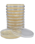 Tryptic Soy Agar (TSA) Plates