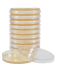 Baird Parker Agar Plates
