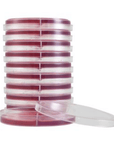 CIN / MacConkey Agar with Sorbitol Biplate