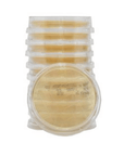 LokTight™ TSA with Lecithin & Tween® 80, USP Contact Plate