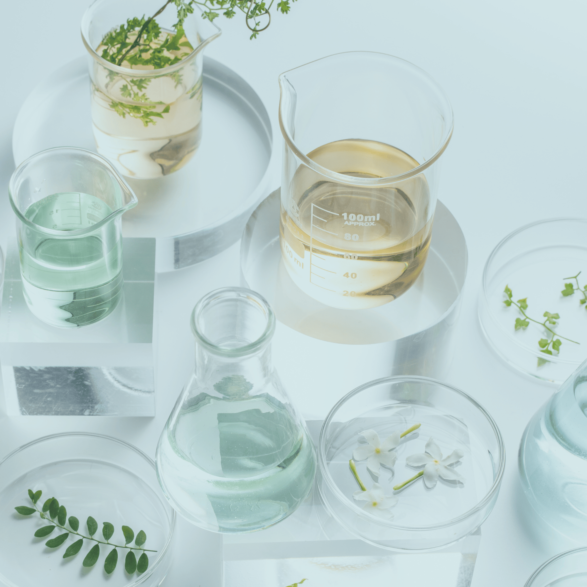 Laboratory Glassware