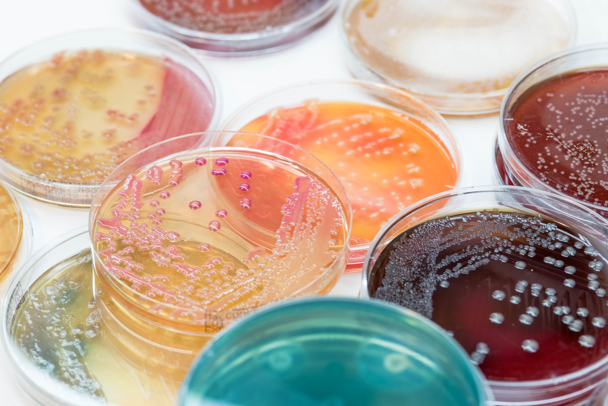 Microbiology Standards