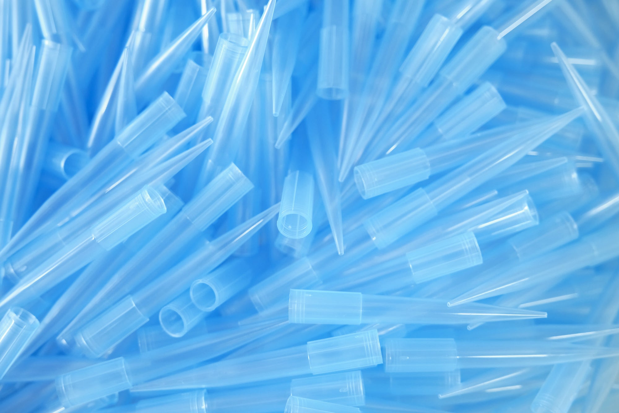 Pipette Tips