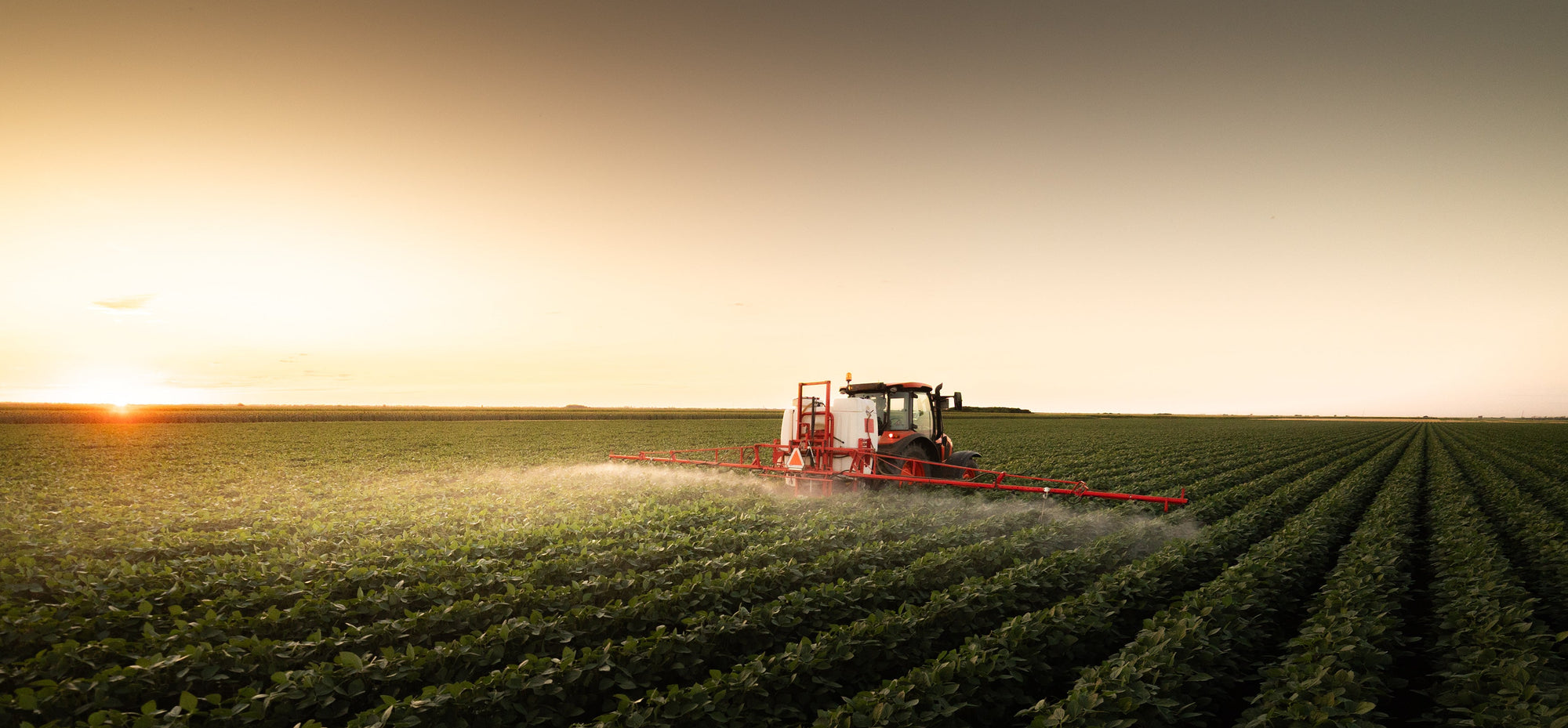 Pesticides & Agrochemicals