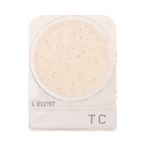 CompactDry™ Total Bacterial Plate