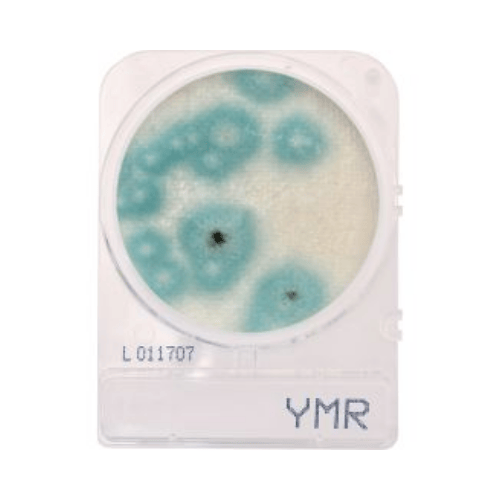 CompactDry™ YMR Plates