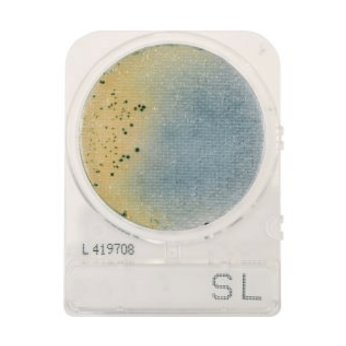 CompactDry™ Salmonella (SL)
