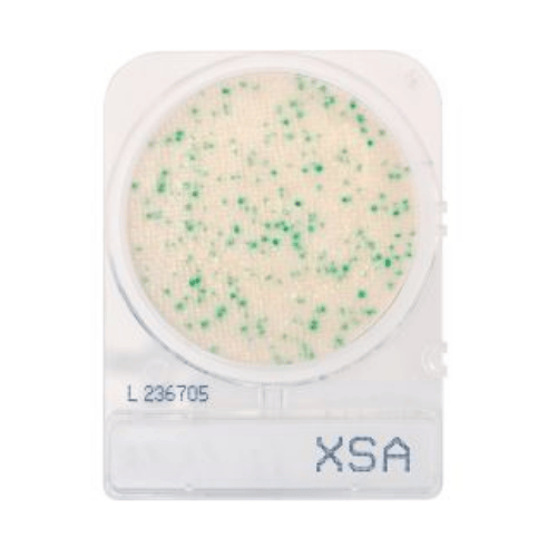 CompactDry™ S. aureus