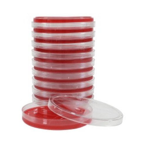 Blood Agar 5%, 15x100mm Plate