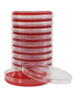 Blood Agar 5%, 15x100mm Plate