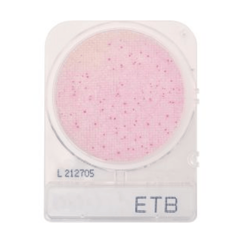 CompactDry™ Enterobacteriaceae Plate