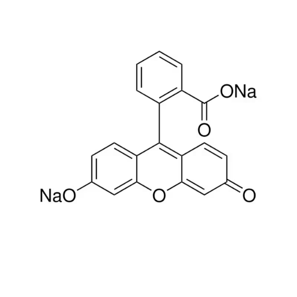 Fluorescein Sodium Salt, Powder | CAS 518-47-8 | Fluorescent Tracer Dye