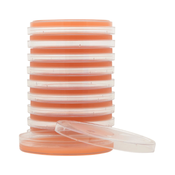 MYP Agar (Mannitol Yolk Polymyxin) for Bacillus cereus, 10 Plates | Hardy Diagnostics