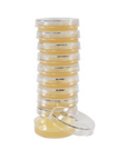 Tryptic Soy Agar (TSA), 12 mL Plate