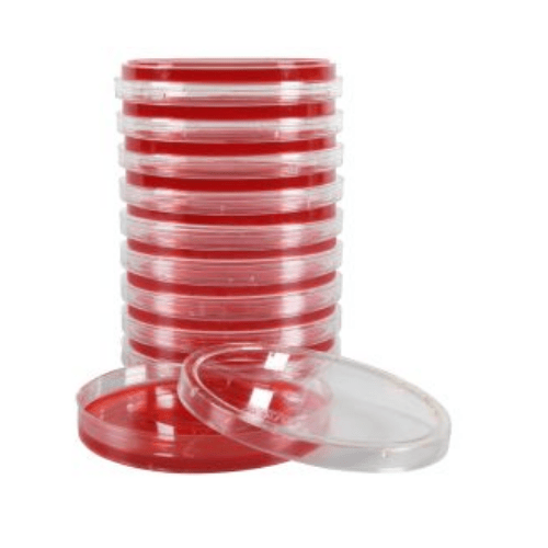 XLT4 (Xylose-Lysine-Tergitol 4) Agar Plates Stacked