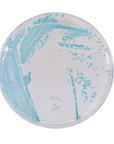HardyCHROM™ Listeria Chromogenic Medium Plate