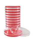 Mannitol Salt Agar (MSA), USP | Staphylococcus Differentiation | 10 Plates | Hardy Diagnostics