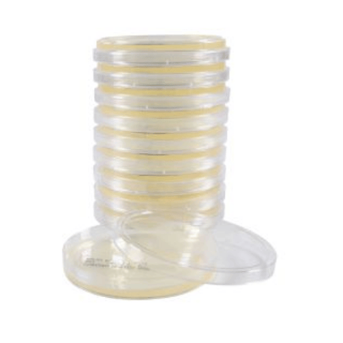 Standard Methods Agar (SMA), Plate Count Agar Plates