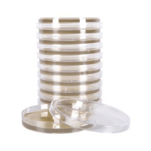 Oxford Medium, Modified Plates