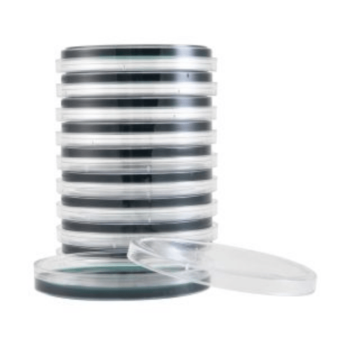 Thiosulfate Citrate Bile Salts Sucrose (TCBS) Agar Plates