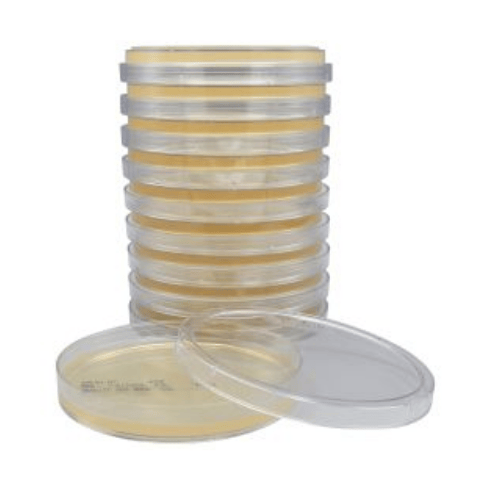 Tryptic Soy Agar (TSA) Plates