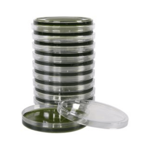 Hektoen Enteric (HE) Agar Plates