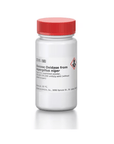 Glucose Oxidase from Aspergillus niger Type X-S - 1,000,000 units
