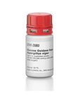 Glucose Oxidase from Aspergillus niger Type X-S - 250,000 units