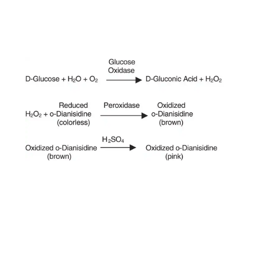 Glucose Oxidase Type X-S | Lyophilized Powder | 100k–250k U/g | A. niger
