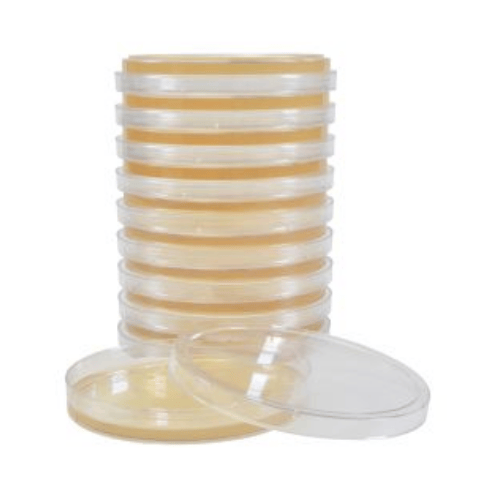 Baird Parker Agar Plates
