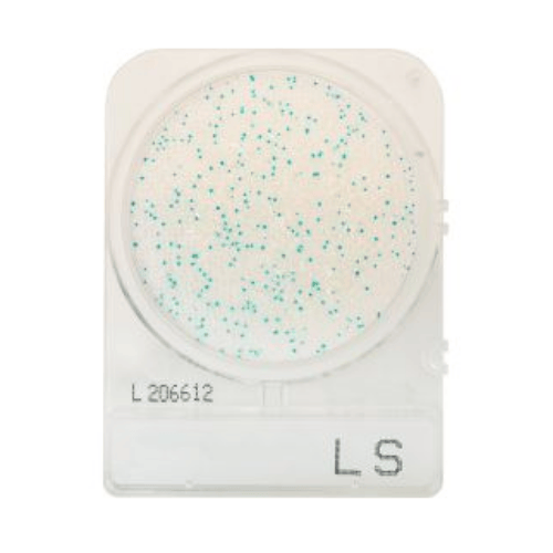 CompactDry™ Listeria spp (LS) Plate
