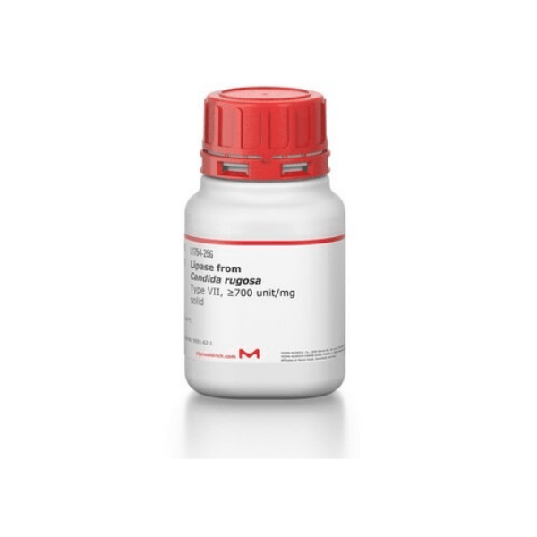 Lipase Candida rugosa Type VII ≥700 unit/mg 5 g