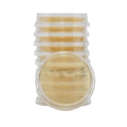 LokTight™ TSA with Lecithin & Tween® 80, USP Contact Plate