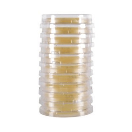 LokTight™ TSA with Lecithin & Tween®, USP Contact Plates