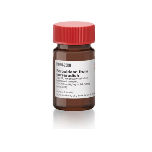 Horseradish Peroxidase Type II | HRP | 150–250 U/mg, Salt-Free