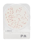 CompactDry™ Pseudomonas aeruginosa (PA) Plate