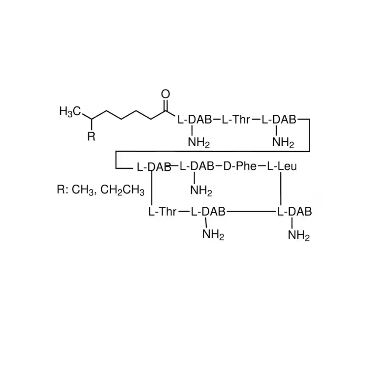 Polymyxin B Sulfate USP Grade Powder | Antibiotic Standard