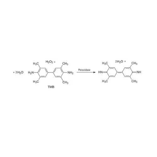 TMB Liquid Substrate for ELISA | 3,3′,5,5′-Tetramethylbenzidine | HRP Chromogenic Peroxidase Substrate