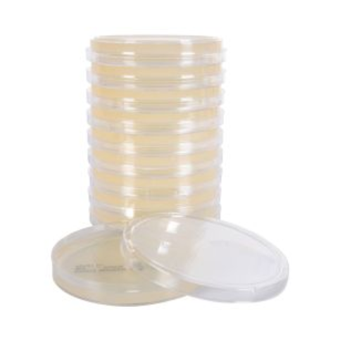 Potato Dextrose Agar (PDA), USP Plates