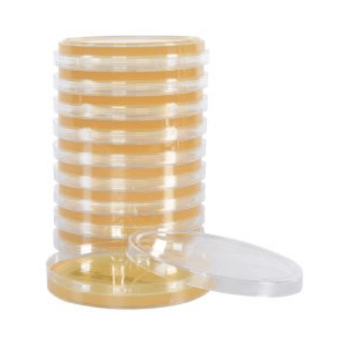 Sabouraud Dextrose Agar (SabDex), USP Plates