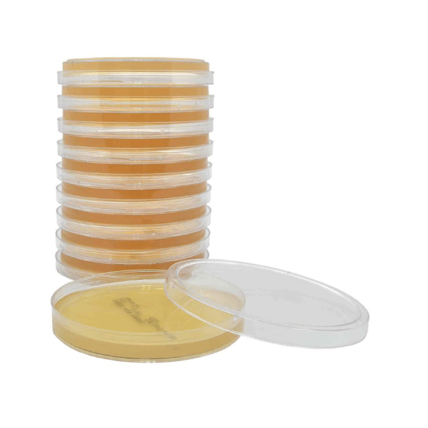 Sabouraud Dextrose Agar (SabDex) with Lecithin & Tween 80 | Environmental Fungal Monitoring Plate | W71