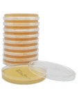 Sabouraud Dextrose Agar (SabDex) with Lecithin & Tween 80 | Environmental Fungal Monitoring Plate | W71