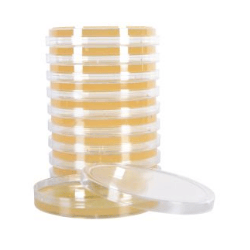 Malt Extract Agar with Chloramphenicol Plates