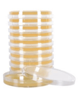 Malt Extract Agar with Chloramphenicol Plates