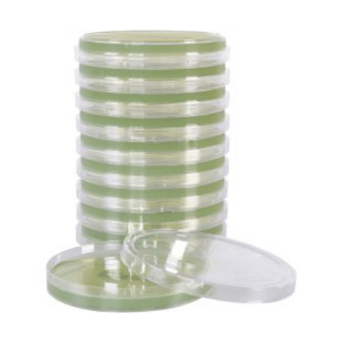 Sabouraud Dextrose Agar (SabDex) USP, Blue Tinted Plates